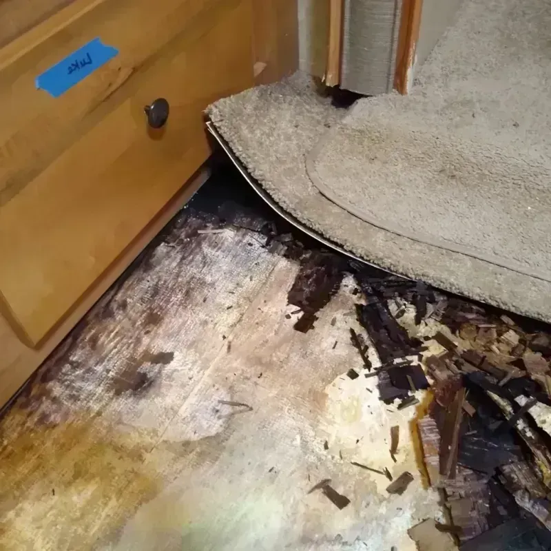 Best Wood Floor Water Damage Service in Peppermill Village, MD